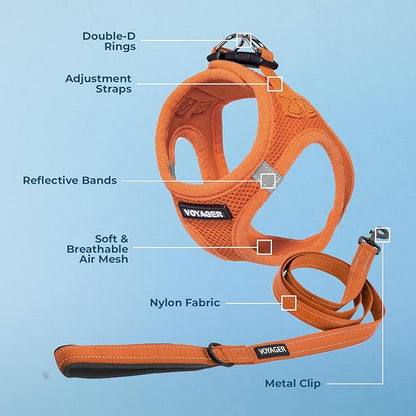 Best Pet Supplies Voyager Step-in Air All Weather Mesh Harness and Reflective Dog 5ft Leash Combo with Neoprene Handle, for Small, Medium and Large Breed Puppies - Set (Orange), Medium