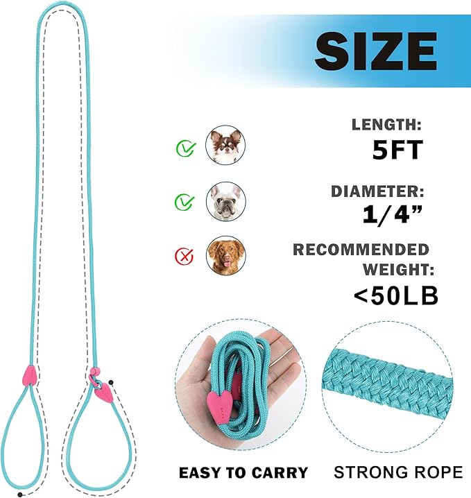Slip Leads for Dogs Puppy Leash Comfortable 5FT Heavy Duty Loop Leash No Pull Pet Training Leash 6 Colors Classic Dog Leash for Small Medium Dogs(Lake Blue)