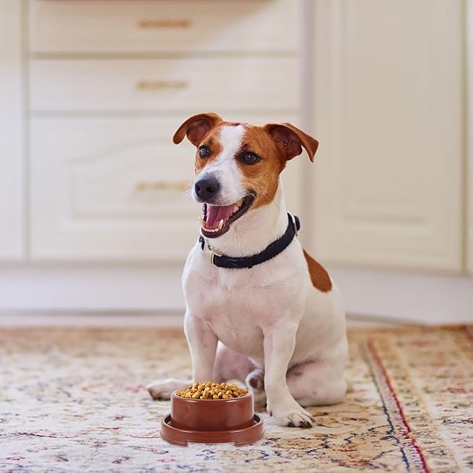 Plastic Pet Feeding Bowl and Water Dish, Brown Pp Dog Food Holder, Indoor Single Round Pet Feeder Bowl for Puppies and Dogs