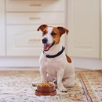 Plastic Pet Feeding Bowl and Water Dish, Brown Pp Dog Food Holder, Indoor Single Round Pet Feeder Bowl for Puppies and Dogs