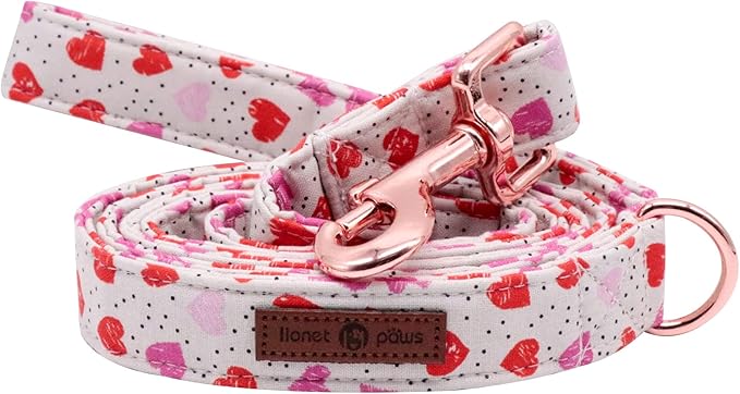 Lionet Paws Valentine's Day Dog Leash and Matching Collar for Small, Medium, Large Dogs