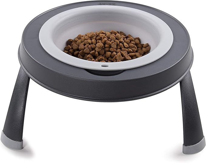 Dexas Pets Single Elevated Pet Feeder/Pet Bowl, Large/ 4 Cup Capacity, Light Gray