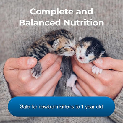 Pet-Ag PetLac Powder for Kittens - 10.5 oz - Kitten Milk Replacement Powder for Kittens Newborn to Six Weeks Old - Easy to Digest