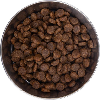 Health Extension Grain Free Salmon & Sweet Potato Dry Dog Food - 30+ Superfoods and Probiotics for All Life Stages (23.5 lb)