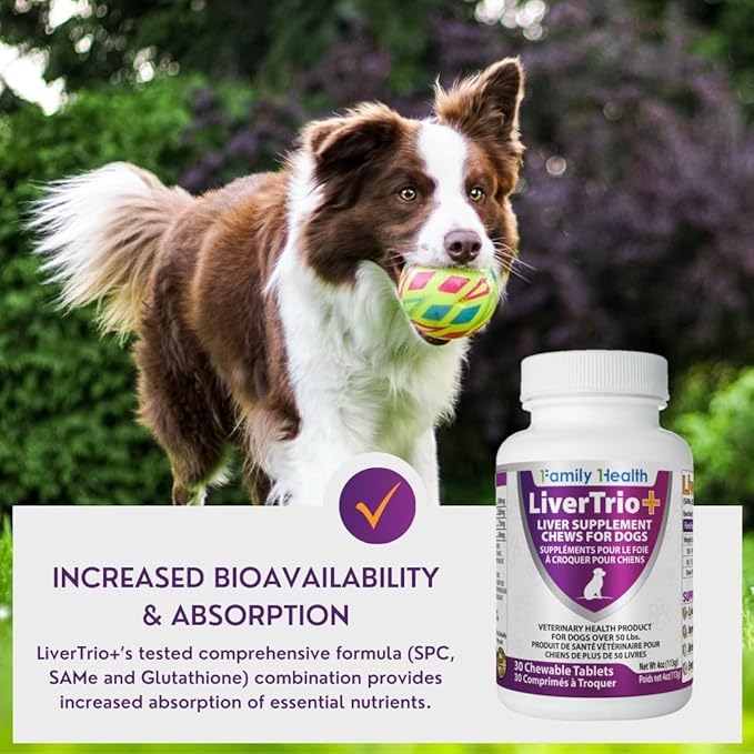 Comprehensive Liver Support Supplement for Smaller Dogs. Flavorful Chewable Tablets Combining Same, SPC, Silybin A+B, + Glutathione 30Ct (Small - Medium)