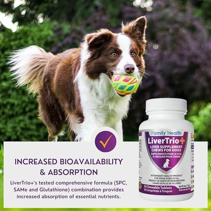 Comprehensive Liver Support Supplement for Smaller Dogs. Flavorful Chewable Tablets Combining Same, SPC, Silybin A+B, + Glutathione 30Ct (Small - Medium)