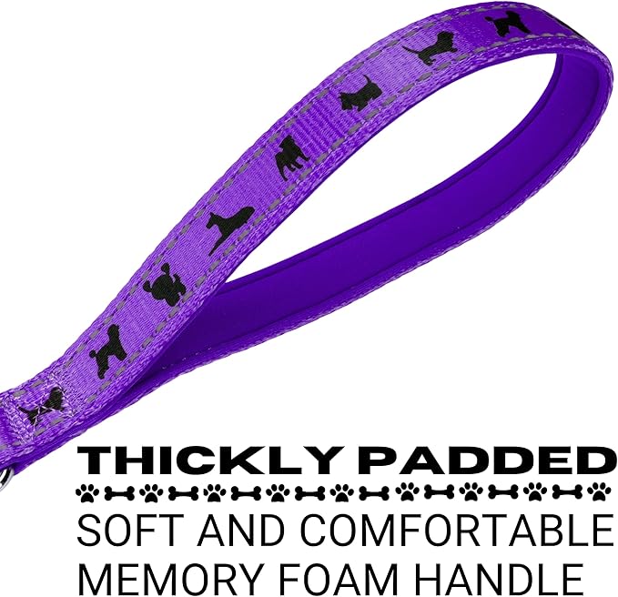 EcoBark Dog Leash - Soft & Reflective Comfort Leashes with Padded Handle - Safe, Strong, & Durable for Small, Medium or Large Dogs (Purple)