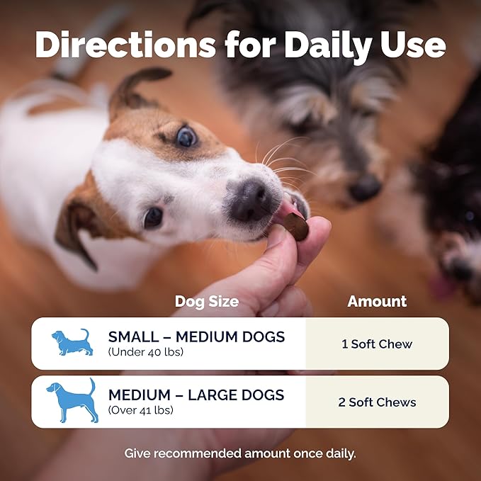Vetnique Glandex Daily Probiotics for Dogs with Prebiotics to Support Gut Health, Diarrhea with Fiber and Digestive Enzymes, Dog Probiotic Chews or Powders (30ct Chews, Bacon Chews)