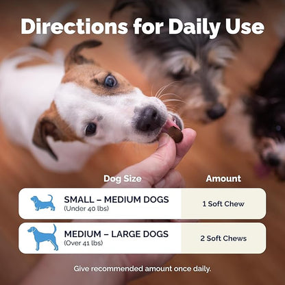 Vetnique Glandex Daily Probiotics for Dogs with Prebiotics to Support Gut Health, Diarrhea with Fiber and Digestive Enzymes, Dog Probiotic Chews or Powders (30ct Chews, Bacon Chews)