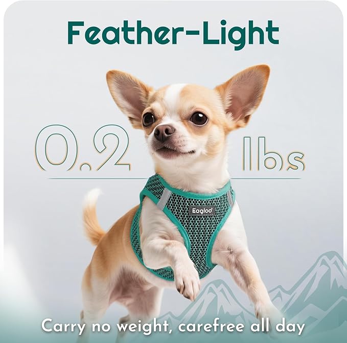 Eagloo Small Dog Harness and Leash Set, Step in Puppy Vest with Breathable Soft Mesh, Walking Reflective Pet Harness for Small Dogs, Forest Green, M