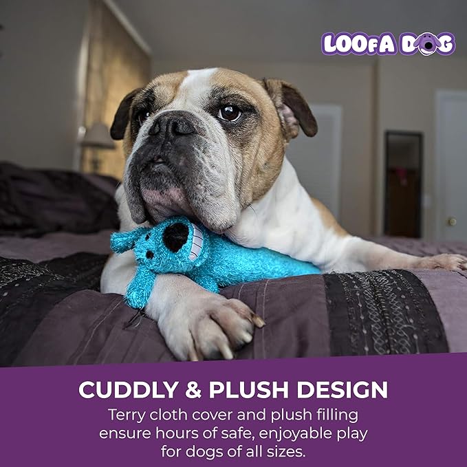 Multipet Loofa Dog Plush Toy w/ Birthday Hat - Squeaky Dog Toy for Dogs - Soft Plush - Stuffed Animal Dog Toys for Playing (1 Count, 12”, Random Color Surprise)