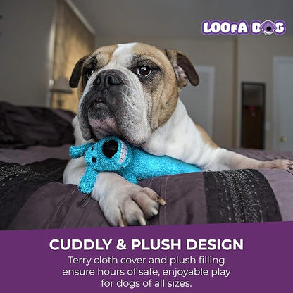 Multipet Loofa Dog Plush Toy w/ Birthday Hat - Squeaky Dog Toy for Dogs - Soft Plush - Stuffed Animal Dog Toys for Playing (1 Count, 12”, Random Color Surprise)