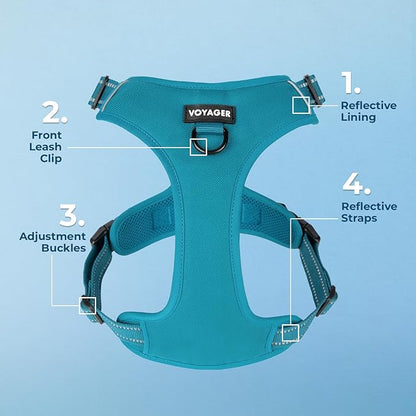 Voyager Dog Harness Dual Leash Attachment No-Pull Control Adjustable Soft but Strong Pet Harness for Medium and Large Dogs with 3M Reflective Technology, Turquoise Nylon, M (Chest: 20-25")