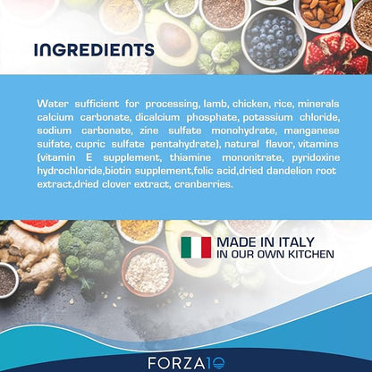 Forza10 - Dog Food, Vet Formulated Wet Dog Food for Kidney Support, Non-GMO, Lamb Flavor, Made in Italy (3.5 oz, 12 Pack)