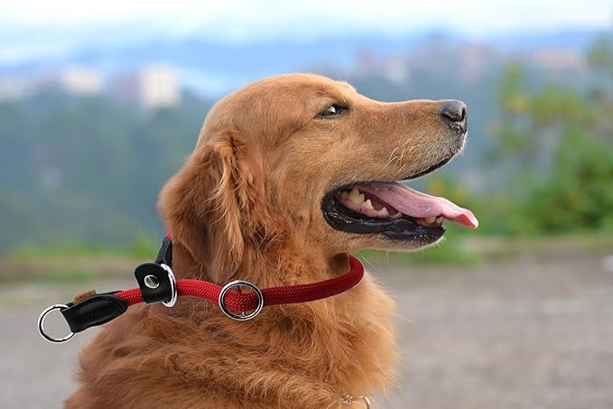 Braided Round Martingale Dog Collar, Training Collar with Slidable Stop Ring and Adjustable Stopper - Ideal for Large Dogs (L(1/2") - 20" Long, Red)