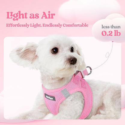 rabbitgoo Dog Harness Small Sized and Leash Set, Step in Soft Light Puppy Vest, Breathable Mesh Pet Harness, Reflective for Safe Easy Walking, Light Pink XXXS