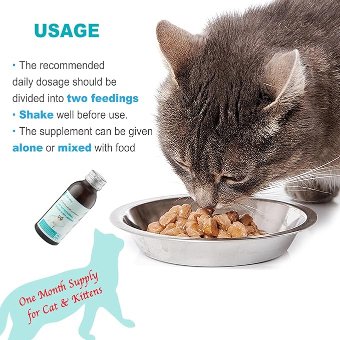 MARIMER Cat Immune Support Liquid Supplement – L-Lysine & Astragalus – Enhances Immunity and Relieves Feline Herpes Symptoms – Nutritional 3.38oz (100ml) for Cats of All Ages