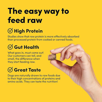 Freeze Dried Dog Treats Topper Premium, Supports Gut Health, Dog Food, High Protein, Non-GMO, No Wheat or Corn, 3oz (Fish)