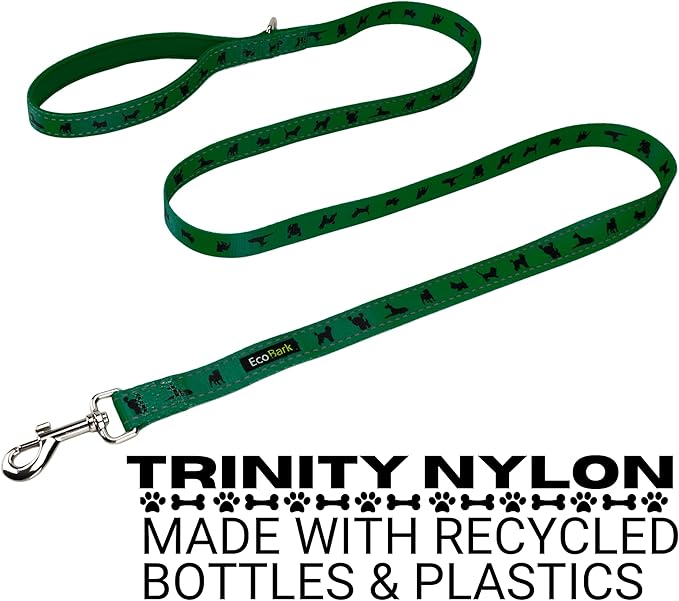 EcoBark Dog Leash - Soft & Reflective Comfort Leash with Padded Handle - Safe, Strong, & Durable for Small, Medium or Large Dogs (Forest Green)