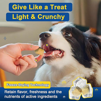 Dog Allergy Relief, Itch Relief for Dogs, Colostrum, Probiotics for Dogs Support Immunity, Omega3, Honey for Dry & Itchy Skin Relief, Seasonal Allergy, Pawlicking, Hot Spot Treatment, 75 Immune Bites