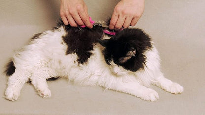 SCAREDY CUT Silent Pet Grooming Kit for Dogs, Cats and All Pet Grooming - A Quiet Alternative to Electric Clippers for Sensitive Pets (Right-Handed Blue)