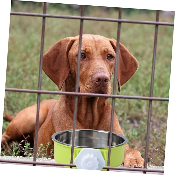 VANZACK Stainless Steel Dog Bowl Pet Feeder Portable Pet Water Dispenser Easy Cleaning Double Layer Bowl Green Pet Supplies
