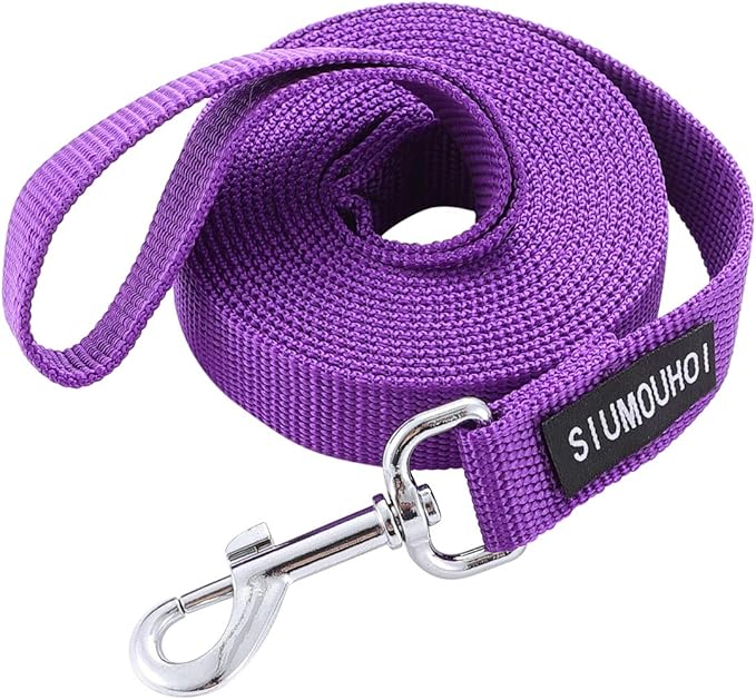Strong Durable Nylon Dog Training Leash, 1 Inch Wide Traction Rope, 6 ft Long, for Small and Medium Dog (Purple, 6 Feet)
