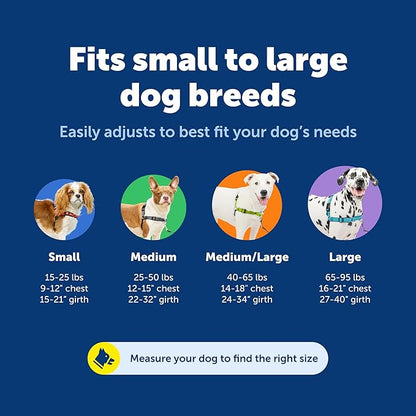 PetSafe Deluxe Easy Walk Harness - Trainer-Trusted Dog Chest Harness with Breathable Martingale Loop Design - Helps Stop Pulling with No Choking & Gagging - Large - Ocean