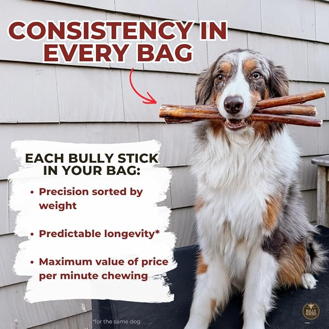Bully Bunches All Natural 12" Standard Braided Bully Sticks - Odour Free, Rawhide Free, Chemical Free - Safe, Long Lasting Thick Beef Dog Chews - Fully Digestible Treat for Small and Medium Dogs, 6 Pk