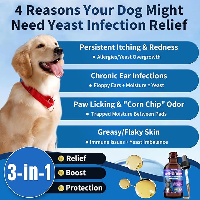 Natural Yeast Infection Treatment for Dogs | Probiotic-Powered Drops with 8-Herbal Blend | Supports Skin, Ears, Allergy Relief | Dog Yeast Infection Treatment Oral Supplement | Bacon-Flavored-2PC