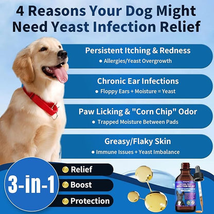 Natural Yeast Infection Treatment for Dogs | Probiotic-Powered Drops with 8-Herbal Blend | Supports Skin, Ears, Allergy Relief | Dog Yeast Infection Treatment Oral Supplement | Bacon-Flavored-2PC