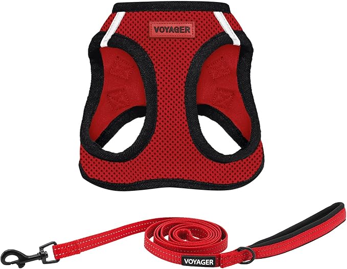 Best Pet Supplies Voyager Step-in Air All Weather Mesh Harness and Reflective Dog 5ft Leash Combo with Neoprene Handle, for Small, Medium and Large Breed Puppies - Set (Red/Black Trim), Medium