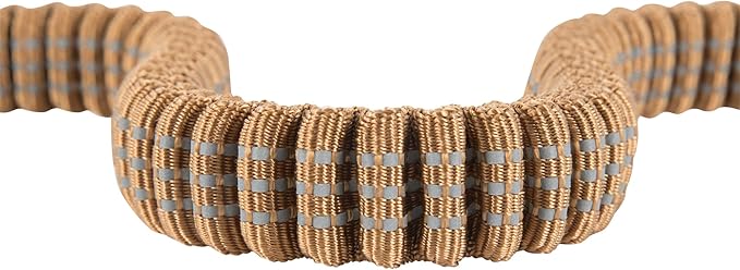 Carhartt Pet Durable Nylon Webbing Shock Absorbing Leash for Dogs, Reflective Stitching for Visibility, Carhartt Brown (Shock Absorbing), Large