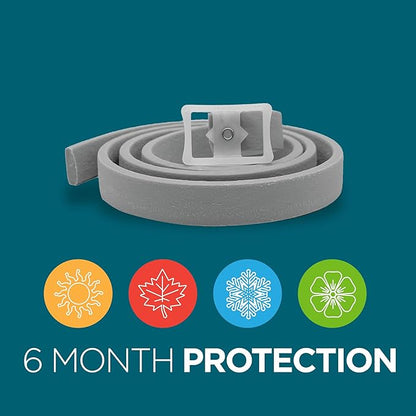 TevraPet Activate II Flea and Tick Collar for Dogs, 6 Months Prevention, 1 Count, One Size Fits All