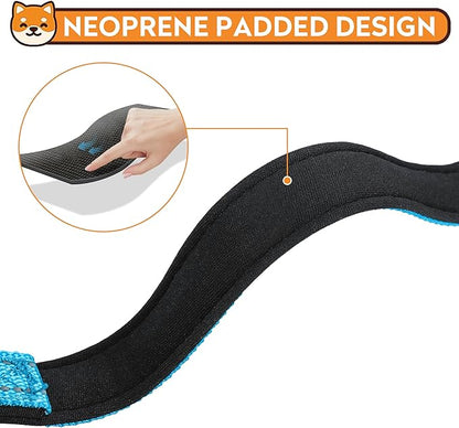 Reflective Dog Collar, Adjustable Soft Neoprene Padded Nylon Pet Collars with Buckle for Extra Large Dogs, Sky Blue,XL