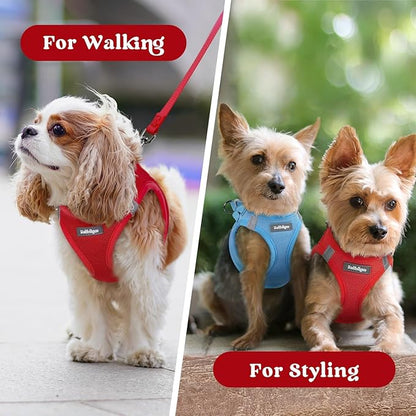 rabbitgoo Small Dog Harness, Step-in Soft Mesh Puppy Vest with Safety Buckle, Breathable Reflective Pet Harness for Small Sized Dogs, Red XS