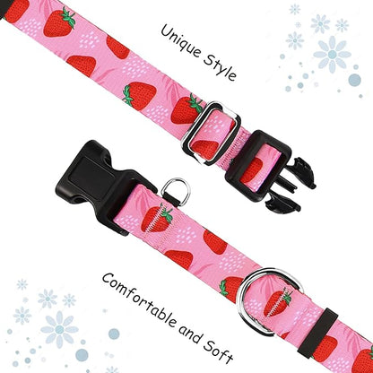 Martingale Collar for Dogs with Buckle Nylon Limited Slip No Pull Training Dog Collars (Pink Strawberry, XLarge)