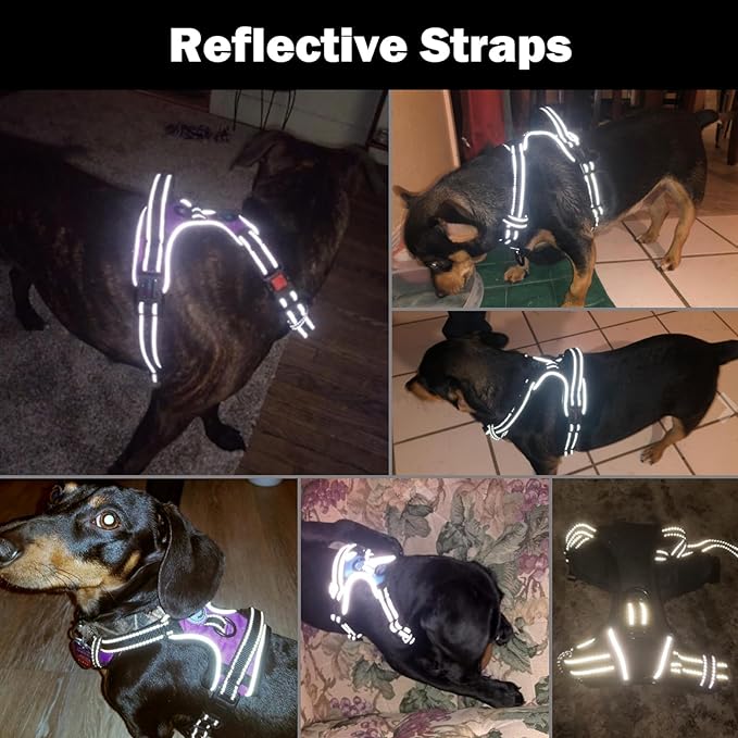 PHOEPET Reflective Dog Harness Large Breed Adjustable No Pull Vest with Handle 2 Metal Rings 3 Buckles [Easy to Put on & Take Off](XL, Blue)
