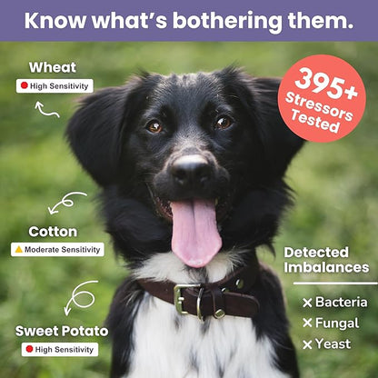 Glacier Peak Holistics, The Original Pet Intolerance Test - Screen Over 395 Food and Environmental Stressors, A Hair and Saliva Kit for Cat and Dog Sensitivities (Results in 7-10 Business Days)