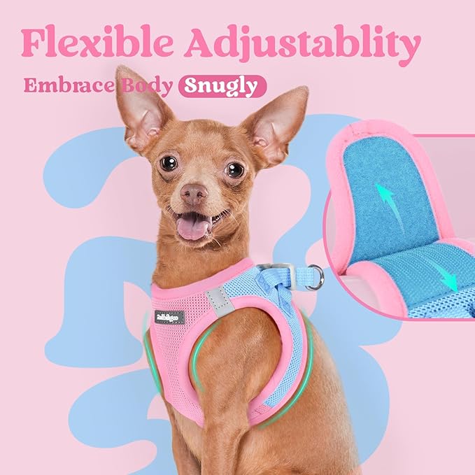 rabbitgoo Small Dog Harness, Step-in Soft Mesh Puppy Vest with Safety Buckle, Breathable Reflective Pet Harness for Extra Small Dogs, Blue & Light Pink XXXS