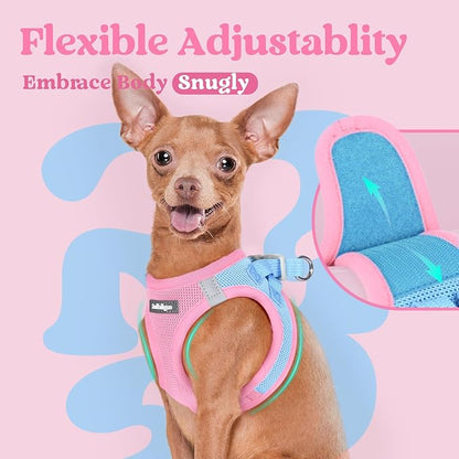 rabbitgoo Small Dog Harness, Step-in Soft Mesh Puppy Vest with Safety Buckle, Breathable Reflective Pet Harness for Small Sized Dogs, Blue & Light Pink M