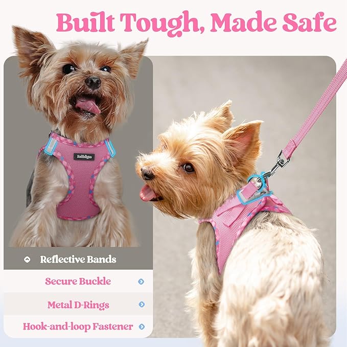 rabbitgoo Dog Harness Small Sized and Leash Set, Step in Soft Light Puppy Vest, Breathable Mesh Pet Harness, Reflective for Safe Easy Walking, Pink & Plaid Trim XXS