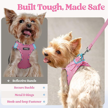 rabbitgoo Dog Harness Small Sized and Leash Set, Step in Soft Light Puppy Vest, Breathable Mesh Pet Harness, Reflective for Safe Easy Walking, Pink & Plaid Trim M