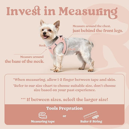 rabbitgoo Small Dog Harness, Step-in Soft Mesh Puppy Vest with Safety Buckle, Breathable Reflective Pet Harness for Small Medium Dogs, Pink L