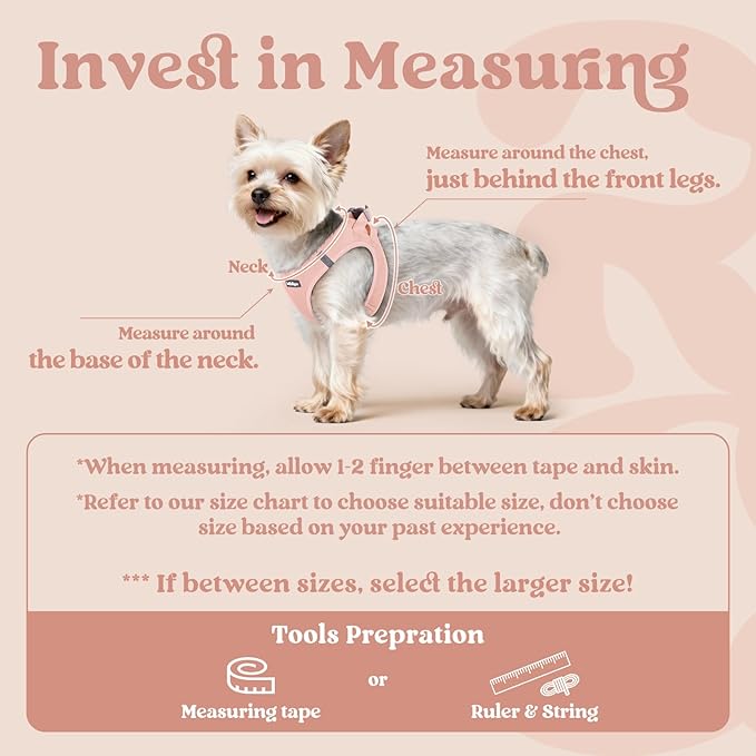 rabbitgoo Small Dog Harness, Step-in Soft Mesh Puppy Vest with Safety Buckle, Breathable Reflective Pet Harness for Large Dogs, Pink XXL