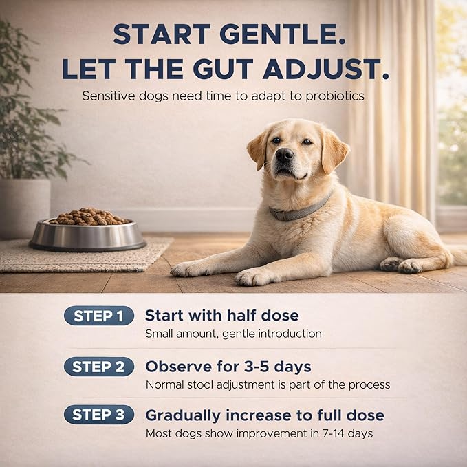 Probiotics for Dogs – Dog Probiotic Soft Chews for Digestive & Gut Health, Yeast Balance,3 Billion CFU with Prebiotic Inulin & Pumpkin, Gentle Formula for Sensitive Stomachs, Chicken Flavor, 90 Count