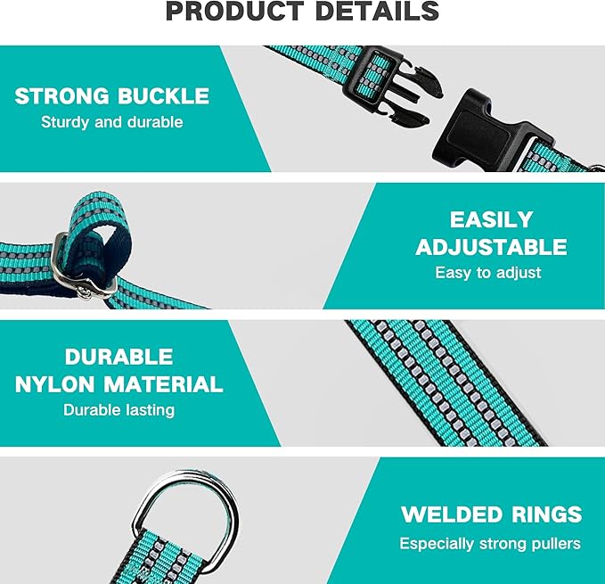 Hikiko Martingale Dog Collars Reflective Nylon Dog Collar with Quick Release Buckle Adjustable Training No Slip Dog Collar (Small, Turquoise)