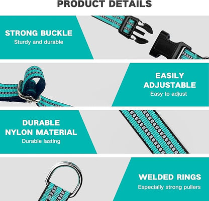 Hikiko Martingale Dog Collars Reflective Nylon Dog Collar with Quick Release Buckle Adjustable Training No Slip Dog Collar (Small, Turquoise)