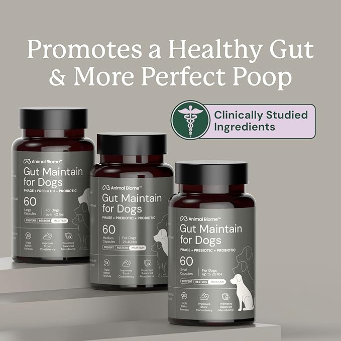 Animal Biome Probiotics for Dogs with S Boulardii, Gut Maintain (60 Capsules) – Triple-Action Large Dog Probiotics, Prebiotics & Phage Supplements for Gut Health, Firmer Stool & Diarrhea Support