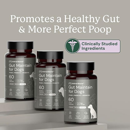Animal Biome Probiotics for Dogs with S Boulardii, Gut Maintain (60 Capsules) – Triple-Action Large Dog Probiotics, Prebiotics & Phage Supplements for Gut Health, Firmer Stool & Diarrhea Support